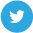 btn-twitter